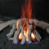 30" Driftwood Log Set 1 30" Driftwood Log Set -Grand Canyon FP24D.burning.500w 1e746390 6898 4b9c 9e9f cdcb5da042ba