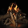 Warming Trends Steel Log Set (4 Sizes) 2 Warming Trends Steel Log Set (4 Sizes) -Grand Canyon New Steel Log1 RGB WEB