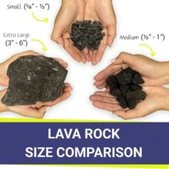 Small Black Lava Rock (1/4"-1/2") 10 Small Black Lava Rock (1/4"-1/2") -Grand Canyon lava rocks size comparison v3 5